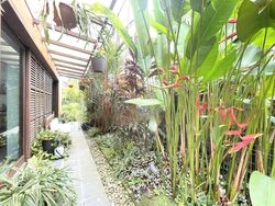 Shamrock Park (D10), Detached #472656991